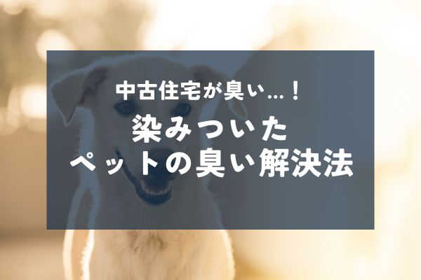 中古住宅が臭い…！染みついたペットの臭い、どうしたらいい？【イオニアミストPRO】